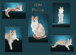Tom Paris